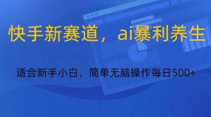快手新跑道,ai爆利健康养生,0基本的新手也可以操作轻轻松松日入500-创业资源网
