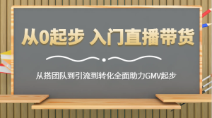 从0起步 入门直播带货 从搭团队到引流到转化全面助力GMV起步-创业资源网