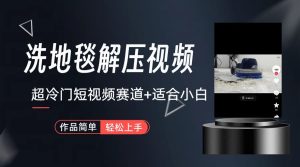 超小众抖音视频跑道-地毯清洁解压视频-简易没脑子怼著作-创业资源网