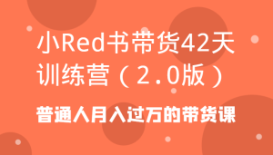 小Red书卖货42天夏令营平常人月入上万的卖货课-创业资源网