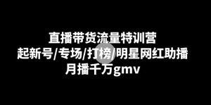 直播卖货总流量夏令营:起小号/盛典/冲榜/明星网红助播,月播一定gmv-创业资源网