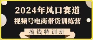 2024年出风口跑道微信视频号电商直播带货夏令营弄钱训练营,带着大家迅速进入自媒体平台电商直播带货-创业资源网