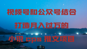 微信视频号和公众号融合打造出月入上万的小说集cps文章新项目,包含市面上上边的各种各样构思详细说明-创业资源网