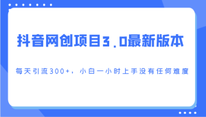 抖音网创新项目3.0最新版,每日引流方法300 ,小白一钟头入门没有难度系数-创业资源网