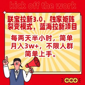 联宝瀚海引流3.0,独家代理引流矩阵裂变模式,每隔两天三十分钟,简易月入3w ,不分群体简易入门-创业资源网