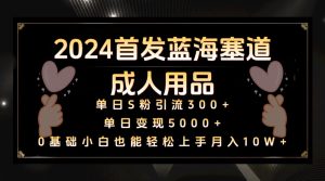 2024先发瀚海塞道两性用品,月入10W 家庭保姆实例教程-创业资源网