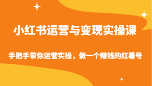 小红书运营与转现实操课-从零陪你经营实际操作,做一个挣钱的地瓜号-创业资源网