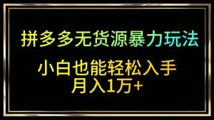 拼多多无货源暴力玩法,全程干货,小白也能轻松入手,月入1万+-创业资源网