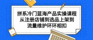 拼系冷门蓝海产品实操课程,从注册店铺到选品上架到流量维护环环相扣-创业资源网