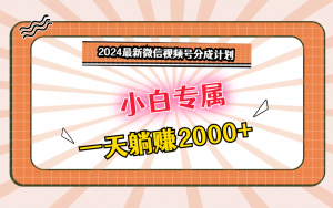 2024最新微信视频号分成计划,对新人友好,一天躺赚2000+-创业资源网