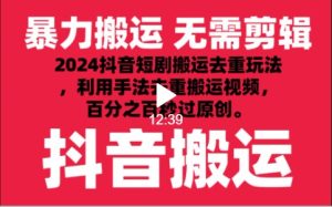 2024全新抖音搬运技术性，抖音短剧视频去重，技巧运送，运用专用工具去重复，秒过原创设计！-创业资源网