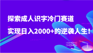 探寻成年人认字小众跑道,完成日入2000 的逆袭人生!-创业资源网