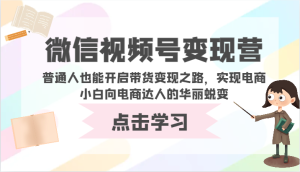 视频号转现营-平常人也可以打开卖货转现之途,完成电商小白向电商达人的完美蜕变-创业资源网