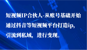 小视频IP合作伙伴-从账户基础做起通过短视频等短视频app打造出ip，引导到公域，进行变现。-创业资源网