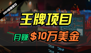 王牌项目月入10W美元，2024全新海外放置挂机撸U新项目，全过程无人化，可大批量变大！-创业资源网