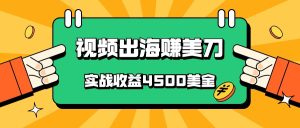中国爆款短视频出航赚美金，实战演练盈利4500美元，大批量没脑子运送，无需经验直接上手-创业资源网