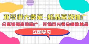 亚马逊大卖家新品高效推广,分享如何高效推广,打造百万美金爆款单品-创业资源网