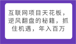 网络项目吊顶天花板,让二追三的秘笈,把握机遇,年收入百万-创业资源网
