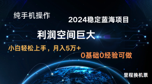 2024新蓝海项目 暴力行为小众持续稳定  纯手机操控 单日盈利3000  新手当日入门-创业资源网