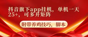 抖音视频集团旗下app自动点击，单机版一天盈利25 ，可以多开引流矩阵-创业资源网
