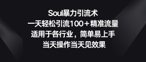 Soul暴力引流术，一天轻松引流100＋精准流量，适用于各行业，简单易上手！-创业资源网