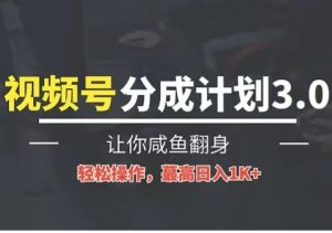 24年微信视频号小众瀚海跑道,使用方便,运单号盈利可以达到四位数-创业资源网