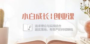 新手发展创业课：追寻理论和实际融合，安稳落地式，有自尊心的不断挣钱-创业资源网