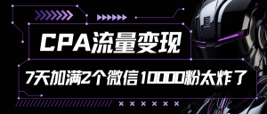CPA数据流量变现,7天满油两个微信号10000粉-创业资源网