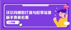 沃尔玛爆款打造与旺季运营,新手卖家必看-创业资源网
