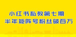 小红书的私人教练第七期，小红书的90天增粉18w，1周增粉过万 大半年矩阵账号粉丝们破百万-创业资源网