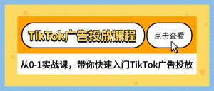 TikTok广告投放课程,从0-1实战课,带你快速入门TikTok广告投放-创业资源网