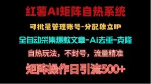 红薯矩阵自热系统,独家不死号引流玩法!矩阵操作日引流500+-创业资源网