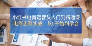 小红书电商运营从入门到精通课，电商店群实战，从0开始到学会-创业资源网