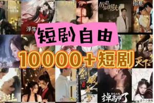 打造完全属于自己的个人短剧库,实现网盘拉新与私域变现的完美融合!-创业资源网