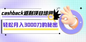 cashback购物返利专业技能培训：轻轻松松月入3000刀隐秘-创业资源网
