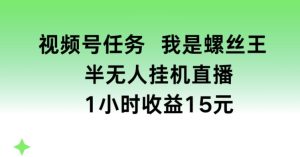 微信视频号每日任务,我就是螺钉王, 半没有人放置挂机1钟头盈利15元【揭密】-中创网_分享中赚网创业资讯_最新网络项目资源-创业资源网
