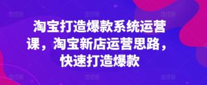 淘宝网推出爆款系统软件运营课,新开淘宝店运营策略,迅速推出爆款-中创网_分享中赚网创业资讯_最新网络项目资源-创业资源网