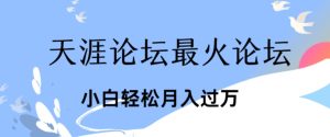 点爆公域运用最红话题讨论天涯社区、新手轻轻松松月入了w-中创网_分享中创网创业资讯_最新网络项目资源-创业资源网