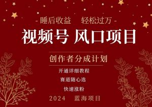 拥有睡眠收益的微信视频号大风口项目,轻松月入过万+,多赛道选择,可…-中创网_分享中创网创业资讯_最新网络项目资源-创业资源网