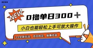 全过程0撸,单日300 ,新手也可以快速上手可变大实际操作-创业资源网