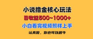 小说撸金核心玩法,日收益500-1000+,小白看完照样上手,0成本有手就行-创业资源网