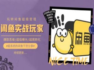 教你如何0到1系统软件轻松玩闲鱼平台转现,爆品逻辑思维/非常曝出/极高转换-创业资源网