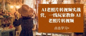AI老照片转视频实操训练营,一线玩家教你AI老照片转视频-创业资源网