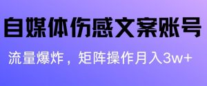 自媒体平台伤感文案账户，制作简单，总流量发生爆炸账户非常容易拷贝，引流矩阵月入1W-创业资源网