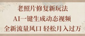 老照片翻新新模式,旧照片AI一键生成动态图片 全新升级总流量出风口 轻轻松松月入了万-创业资源网