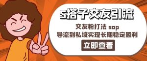 某收费标准888-S搭子交朋友引流方法,交朋友粉玩法 sop,引流到公域实现长期高抛低吸-创业资源网