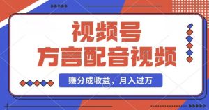 运用方言配音短视频,赚微信视频号分为方案盈利,使用方便,也有千粉号附加转现,每月挣到几千块【揭密】-创业资源网