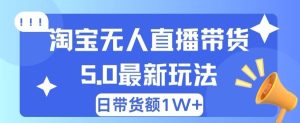 蓝海项目 淘宝网无人直播小众跑道 日赚500 没脑子躺着赚钱 新手有手就行-创业资源网