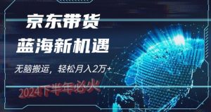 2024下半年最新蓝海项目，无脑搬运，不用剪辑，有手就会，京东图文视频，每月亲测2W+-创业资源网