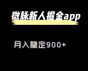 全新微脉长期新项目,引流掘金队,月入平稳900-创业资源网